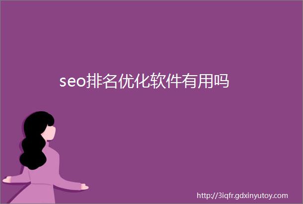 seo排名优化软件有用吗